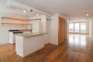 2021 S Ruble St, Chicago, IL 60616 - Photo 4