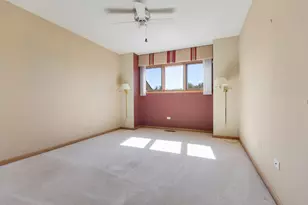 10472 Brookridge Creek Dr, Frankfort, IL 60423 - Photo 28
