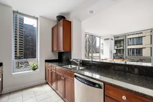 600 N Lake Shore Dr, Chicago, IL 60610 - Photo 10