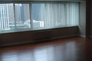 211 E Ohio St, Chicago, IL 60611 - Photo 6