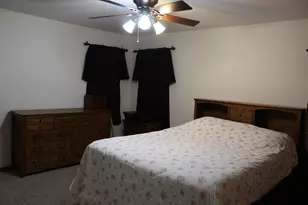315 Coaler Dr, Coal City, IL 60416 - Photo 12