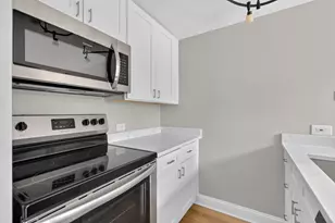 1221 N Dearborn St, Chicago, IL 60610 - Photo 4