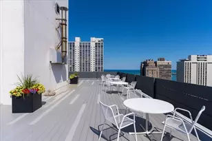 1300 N Astor St, Chicago, IL 60610 - Photo 24