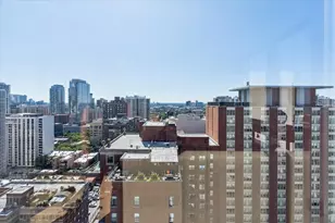 1300 N Astor St, Chicago, IL 60610 - Photo 12