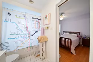 841 W Belle Plaine Ave, Chicago, IL 60613 - Photo 18