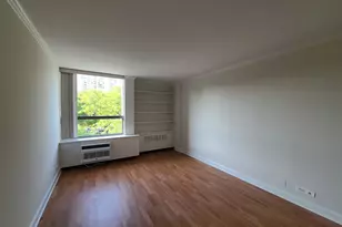 1360 N Sandburg Terrace, Chicago, IL 60610 - Photo 16