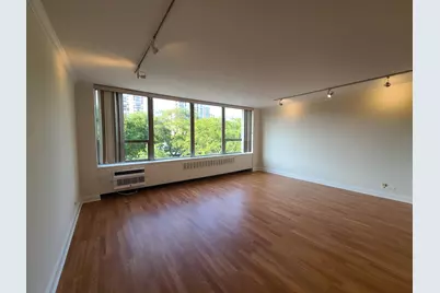 1360 N Sandburg Terrace #410, Chicago, IL 60610 - Photo 2