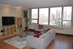 1360 N Sandburg Terrace, Chicago, IL 60610 - Photo 4