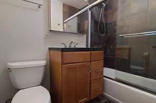 1360 N Sandburg Terrace, Chicago, IL 60610 - Photo 18