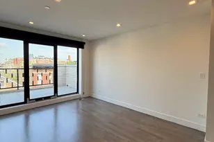719 N Elizabeth St, Chicago, IL 60642 - Photo 16