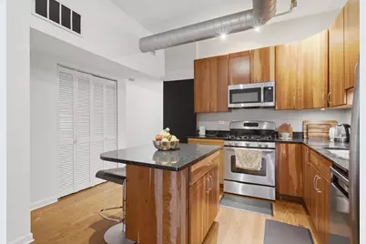 1048 W Foster Avenue #E, Chicago, IL 60640 - Photo 8