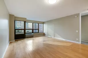 30 E Huron St, Chicago, IL 60611 - Photo 12