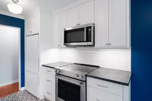 1503 Oak Ave, Evanston, IL 60201 - Photo 12
