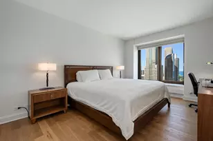 161 E Chicago Ave, Chicago, IL 60611 - Photo 12