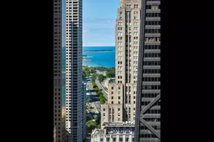 161 E Chicago Ave, Chicago, IL 60611 - Photo 18