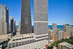 161 E Chicago Ave, Chicago, IL 60611 - Photo 16