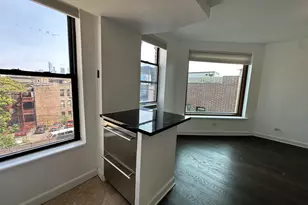 607 N Noble St, Chicago, IL 60642 - Photo 8