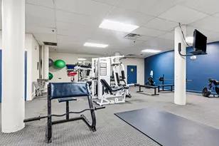 1133 S Wabash Ave, Chicago, IL 60605 - Photo 30