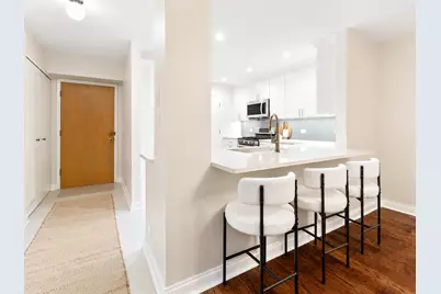 6959 N Ridge Boulevard #1D, Chicago, IL 60645 - Photo 16