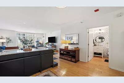 21 W Chestnut Street #1306, Chicago, IL 60611 - Photo 6
