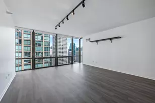2 E Erie St, Chicago, IL 60611 - Photo 4