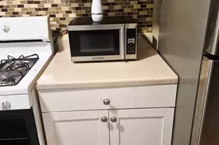 1133 E 81st St, Chicago, IL 60619 - Photo 2