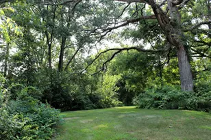 Lot 9 Cherokee Dr, Johnsburg, IL 60051 - Photo 1