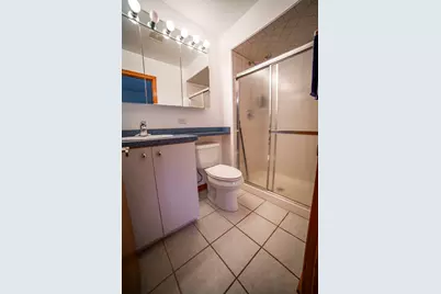 10804 S Ridgeway Avenue, Chicago, IL 60655 - Photo 34