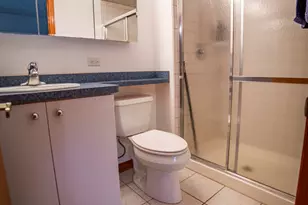 10804 S Ridgeway Ave, Chicago, IL 60655 - Photo 34