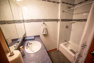 10804 S Ridgeway Ave, Chicago, IL 60655 - Photo 32