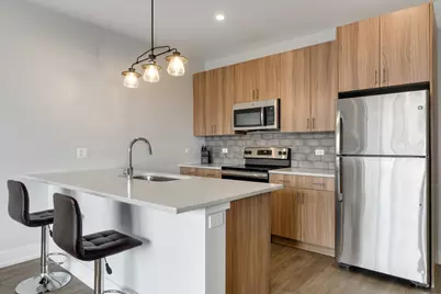 2111 S Halsted Street #203, Chicago, IL 60608 - Photo 8