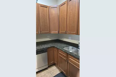 3733 S Lake Park Avenue #1, Chicago, IL 60653 - Photo 8