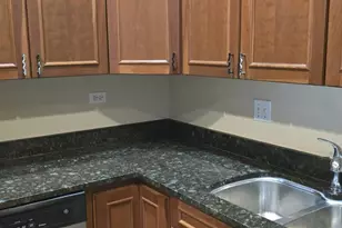 3733 S Lake Park Ave, Chicago, IL 60653 - Photo 8