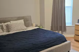 3733 S Lake Park Ave, Chicago, IL 60653 - Photo 12