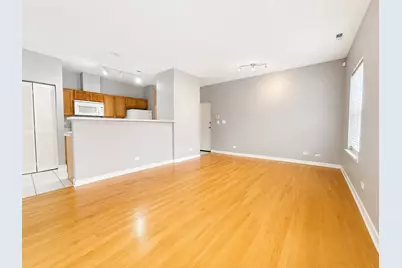 803 E 41st Street #1B, Chicago, IL 60653 - Photo 6