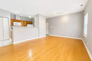 803 E 41st St, Chicago, IL 60653 - Photo 6