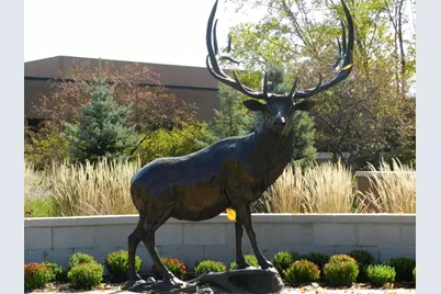 520 Biesterfield Road #117, Elk Grove Village, IL 60007 - Photo 26