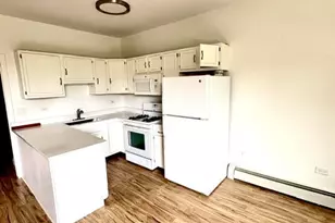 919 W Irving Park Rd, Chicago, IL 60613 - Photo 4