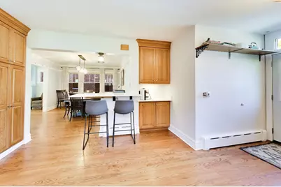 1108 S Washington Avenue, Park Ridge, IL 60068 - Photo 14