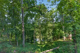 1669 Lakeside Ct, Varna, IL 61375 - Photo 34