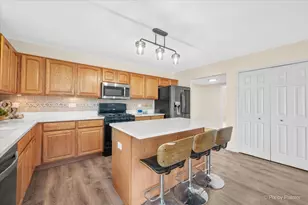 10942 Preston Pkwy, Huntley, IL 60142 - Photo 12
