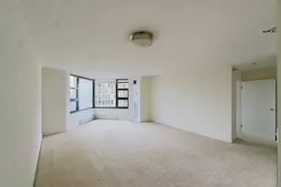 401 E Ontario St, Chicago, IL 60611 - Photo 2
