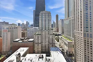 159 E Walton Pl, Chicago, IL 60611 - Photo 6