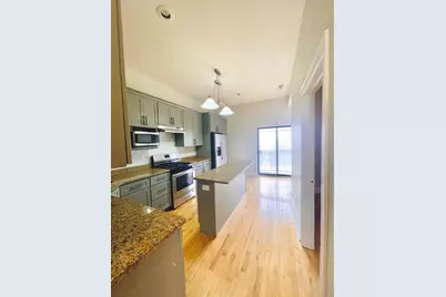 469 E Bowen Avenue #1, Chicago, IL 60653 - Photo 6
