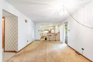 1161 E 171st Ct, South Holland, IL 60473 - Photo 20