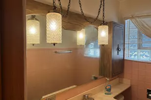 4313 S Kedvale Ave, Chicago, IL 60632 - Photo 14