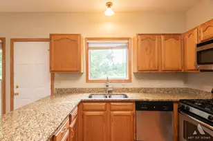333 Brittany Trail, Elgin, IL 60120 - Photo 16