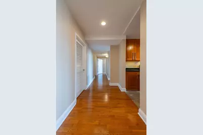2272 S Archer Avenue #8E, Chicago, IL 60616 - Photo 10