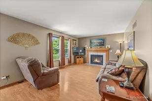 296 W Daisy Cir, Romeoville, IL 60446 - Photo 20