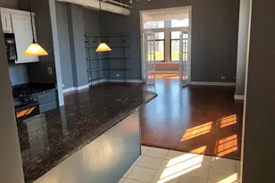 633 S Plymouth Ct, Chicago, IL 60605 - Photo 12
